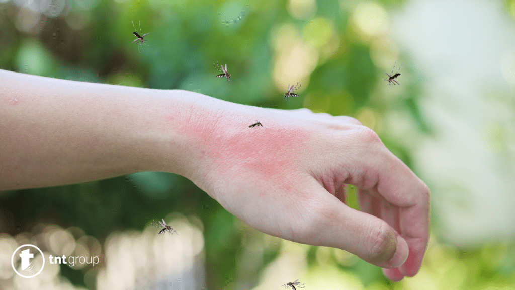 Kako otjerati komarce